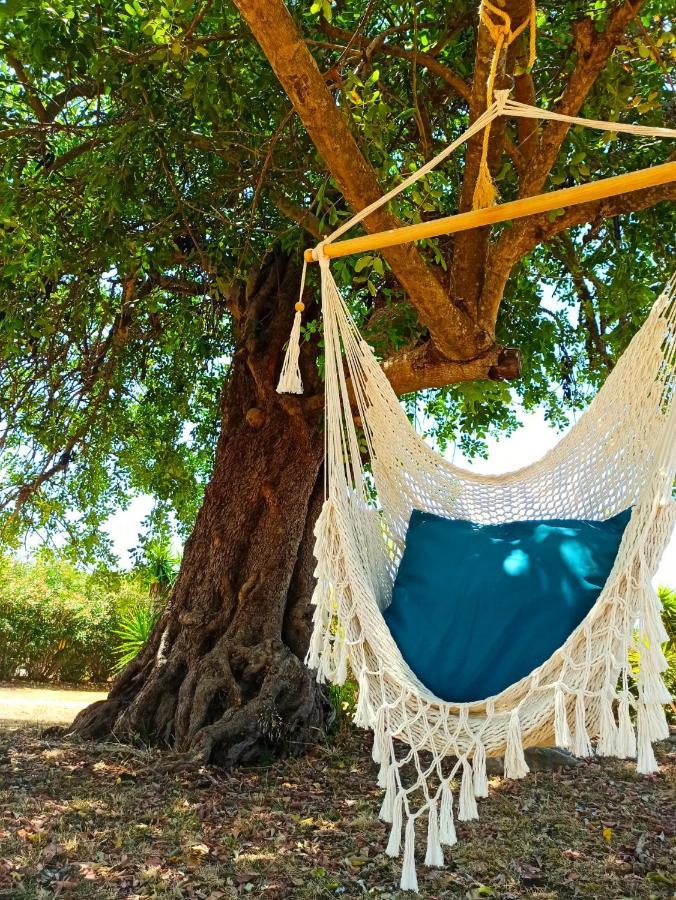 Quinta Pereiro Tropic Garden, Algarve Bed & Breakfast Moncarapacho Bagian luar foto
