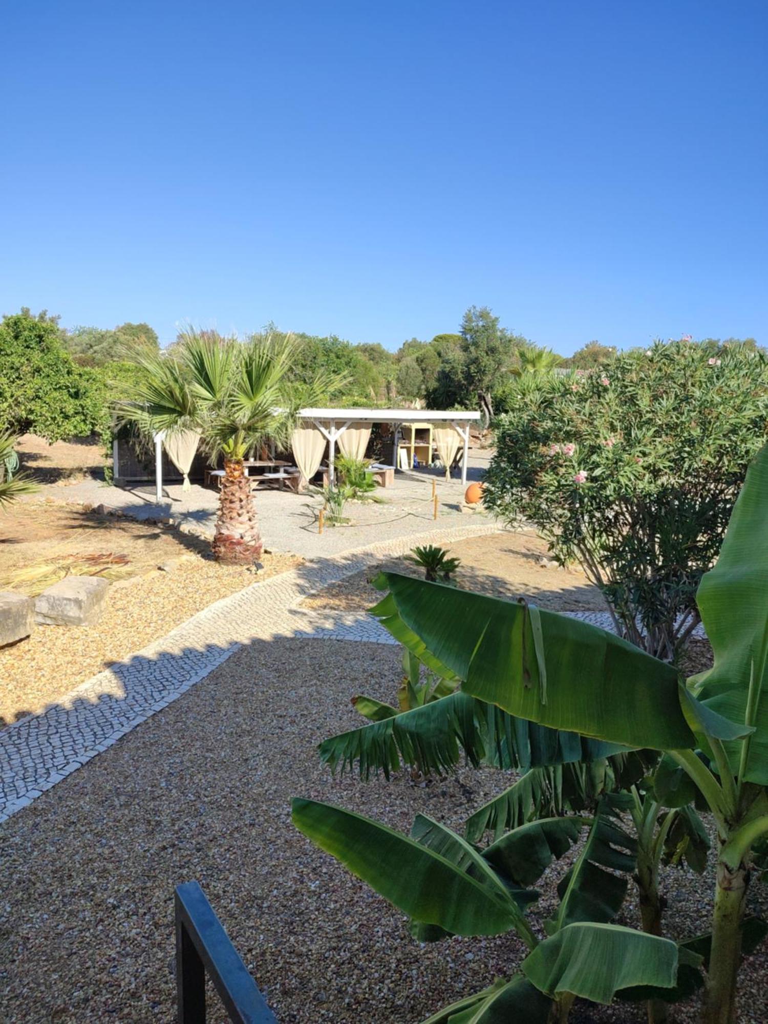 Quinta Pereiro Tropic Garden, Algarve Bed & Breakfast Moncarapacho Bagian luar foto
